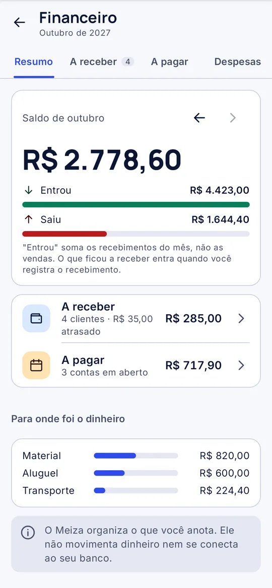 Tela do Meiza: Financeiro